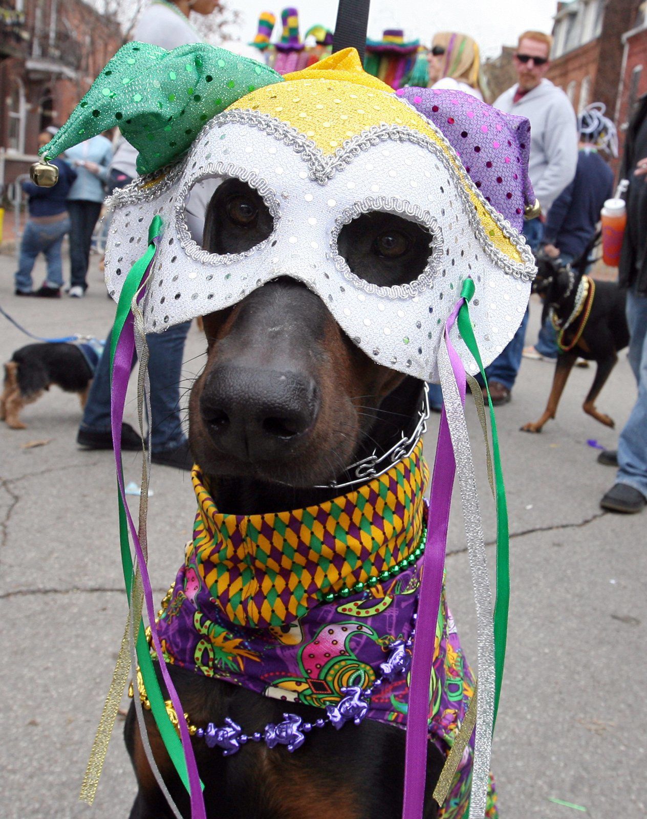 2011: Soulard Mardi Gras Celebrates 40 Years of Fun